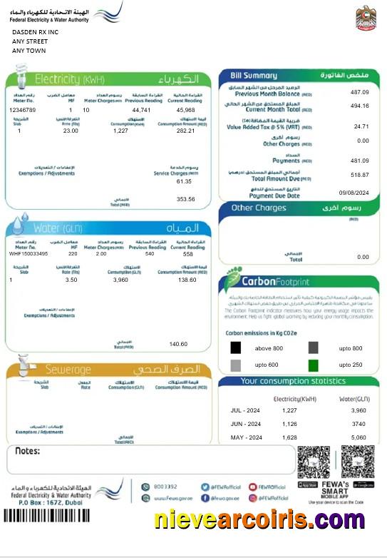 UAE Dubai Federal Electricity & Water Authority business utility bill